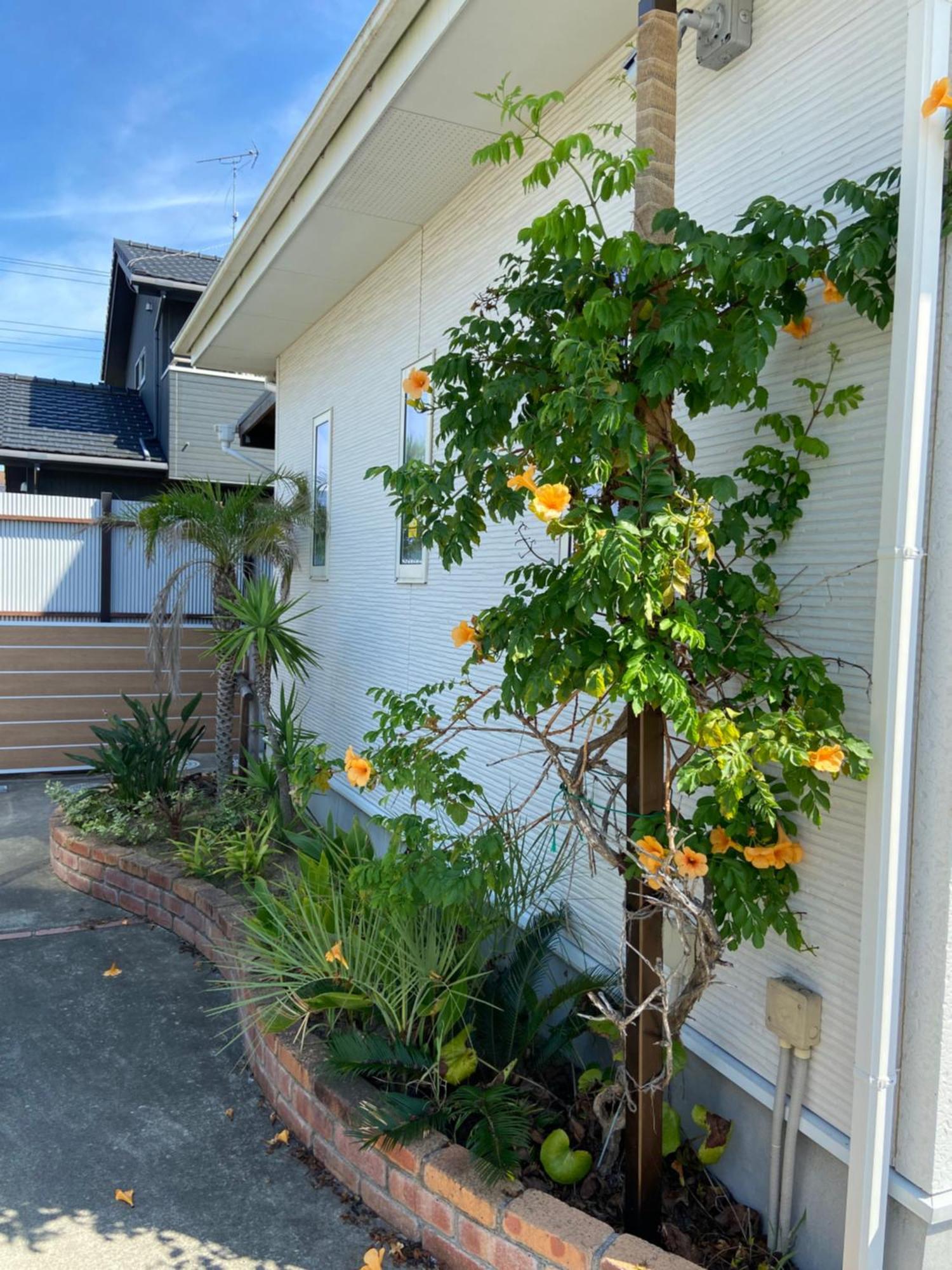 海まで3分bbqテラス付き貸別荘 バケーションレンタルハウス Nalu Resort Japan Ichinomiya  Exterior foto